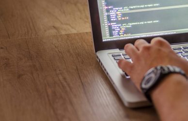 Web Developer Jobs
